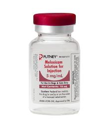 Meloxicam Solution for Injection